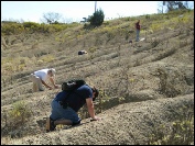 Click picture to watch a short video